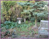 Bradley House Care Home Garden