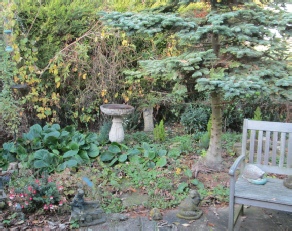 Bradley House Care Home Garden